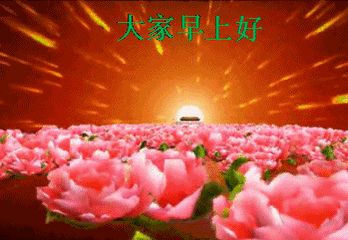 微信表情导入制作技巧——常用微信表情集锦