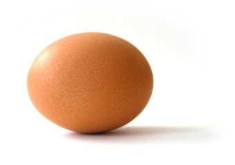 科学家：一天一鸡蛋有助降低心血管疾病风险