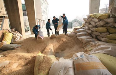 截止10月底，宁夏区累计收购原粮122.2万吨，销售原粮233万吨