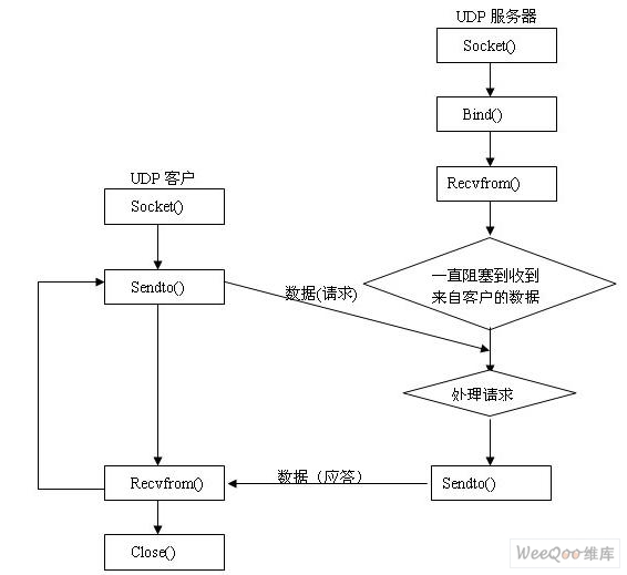 c socket udp_java socket udp_tcp udp socket