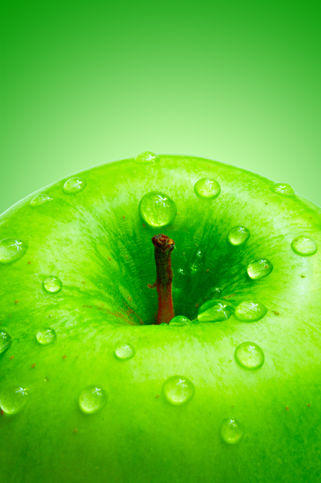 给绿苹果的手机壁纸|高清绿色植物苹果4手机壁-1140kb