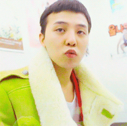 微信动图表情权志龙