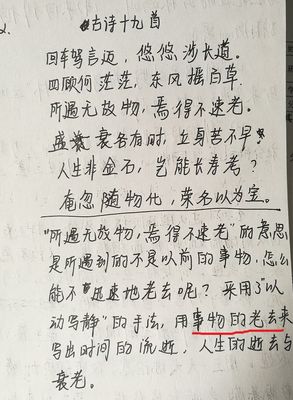 新旧交替的名言