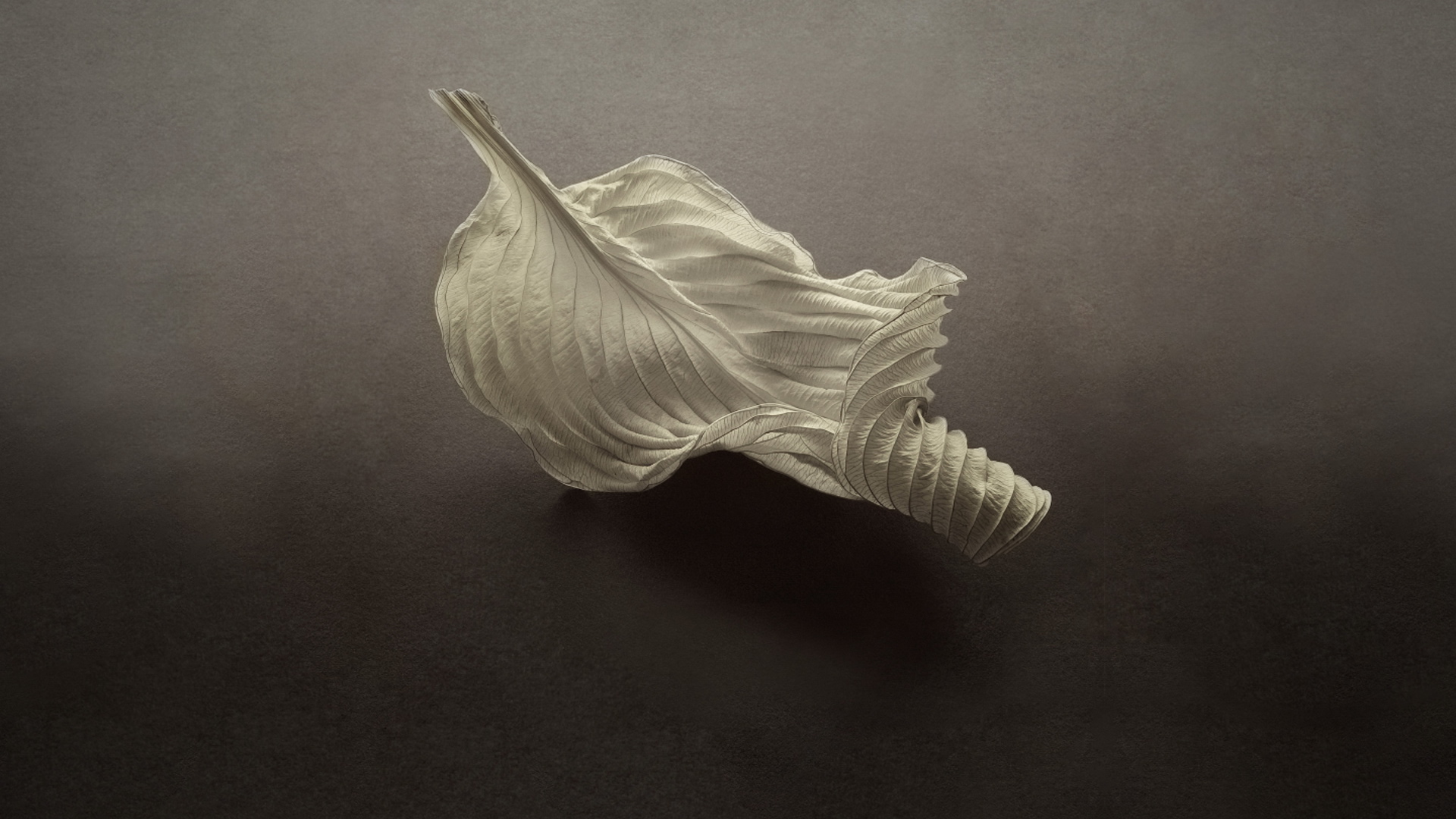 华为手机桌面上的图标不见了怎么办_华为手机咋自拍拍桌面_华为手机桌面图片