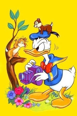 米老鼠和唐老鸭,动画片图片,桌面壁纸,头像 - im-52kb