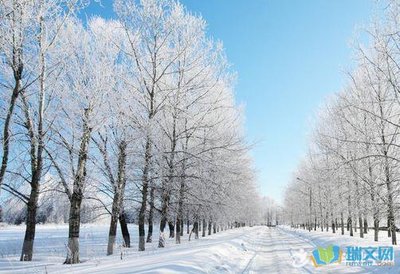 用来描写大雪的优美句子