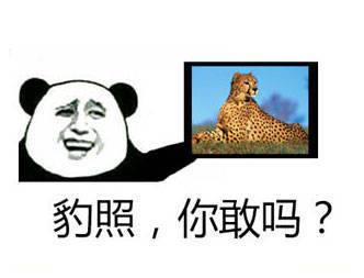 豹照(左手拿着一张豹子的照片-熊猫头造型) 转载请注明:我爱斗图网