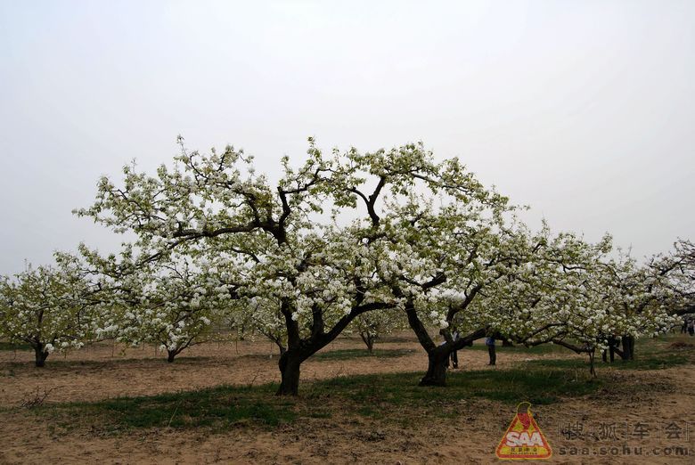 农村保险生孩子 农村生孩子怎么报销