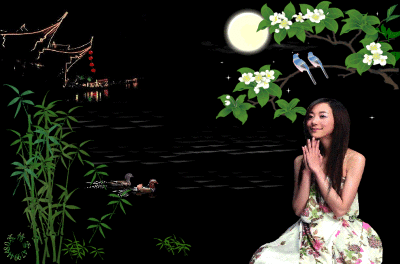 【转载】:电子琴曲专辑——《情系电子琴》(17首音画图文)